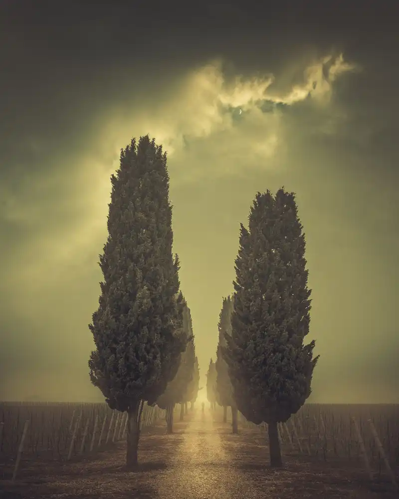Fraccaroli, Andrea: No name