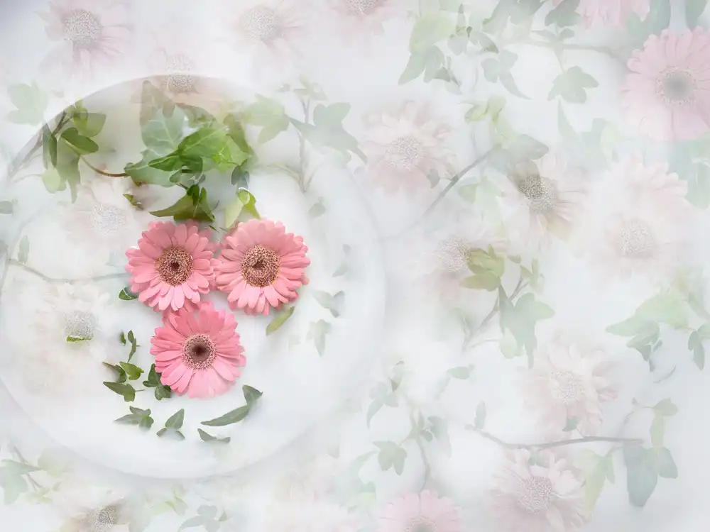 Westum, Heidi: On a plate