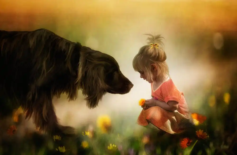 Gerber, Charlaine: Connessione piena di sentimento....