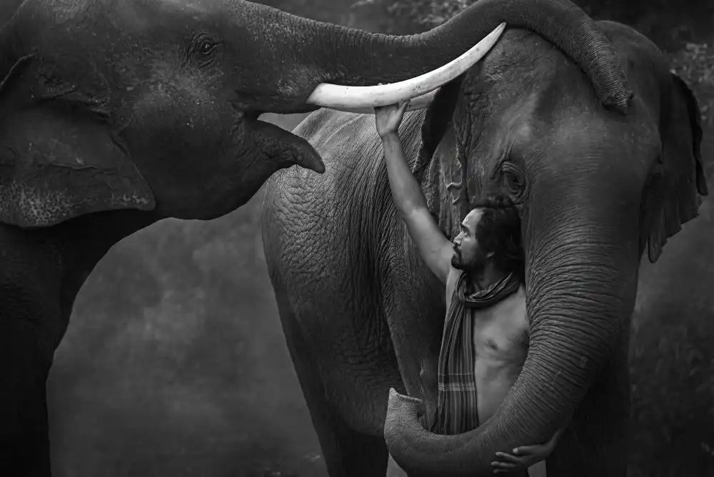 Intarob, Sarawut: Love