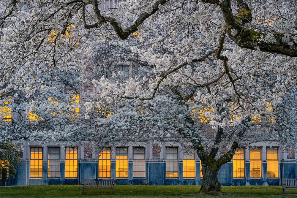 Jacobs, Lydia: Morning at University of Washington
