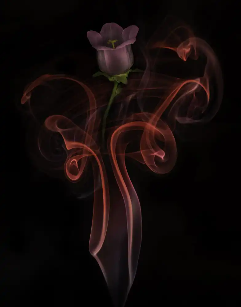 Yakubovitch, Azriel: Campanula Bell Dance