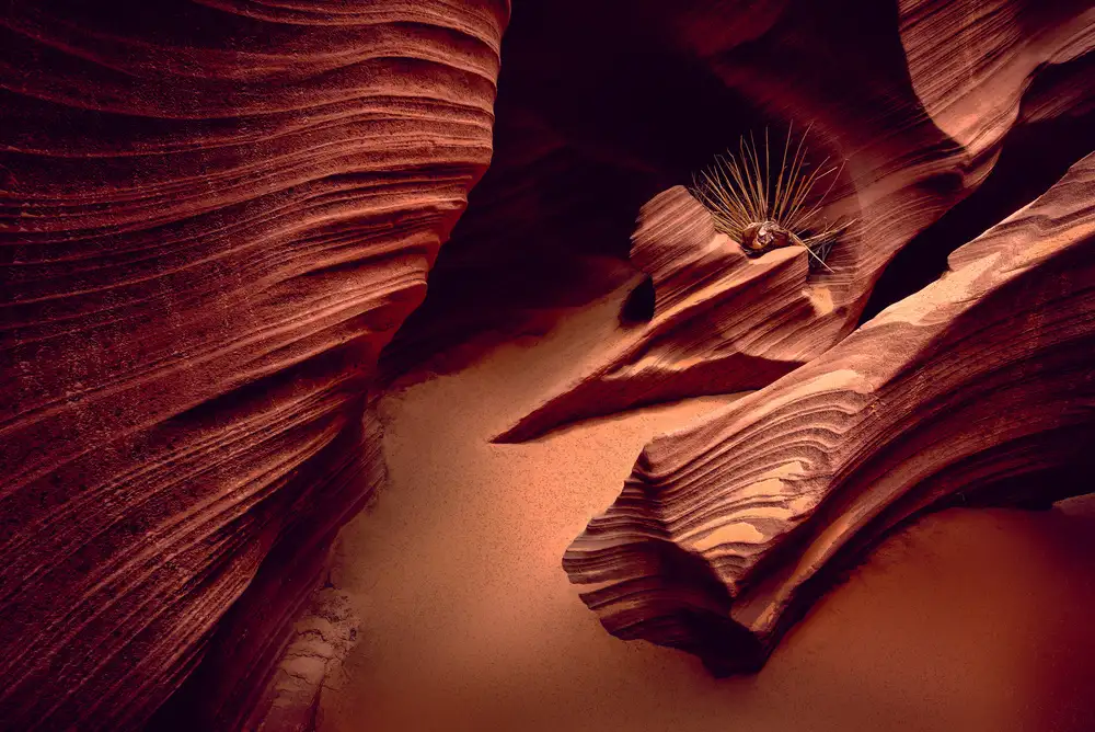 Kreiten, Mike: Rattlesnake Canyon