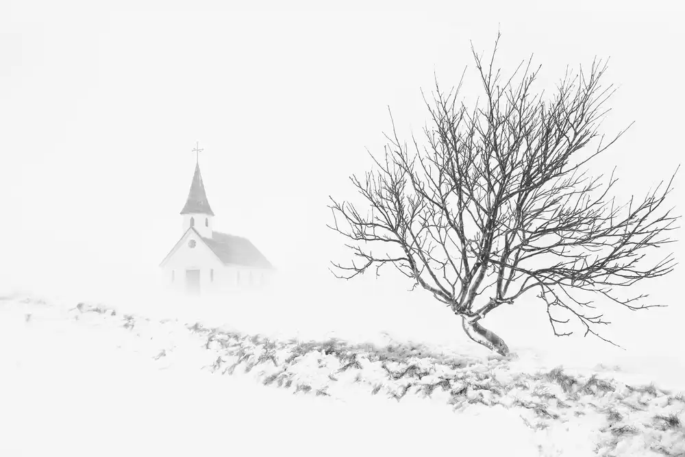 Xu, Tony: Dans une tempête de neige
