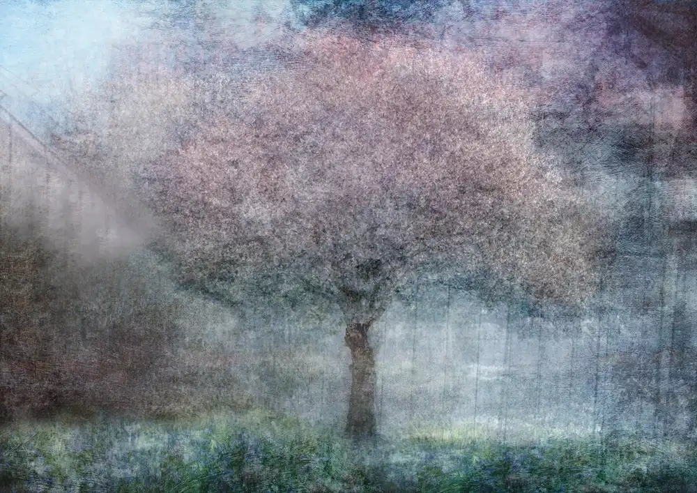 Holmström, Katarina: Magia della primavera