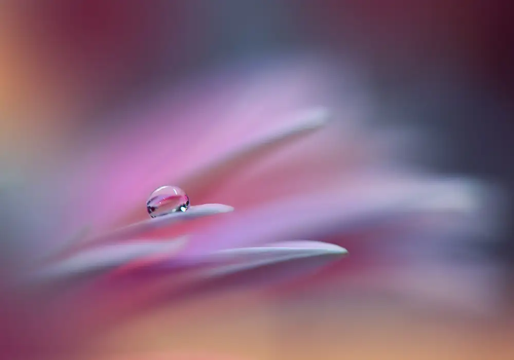 Nan, Juliana: Sound Of Colors..