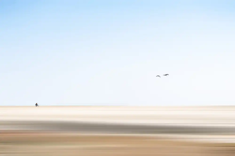 Endermann, Rolf: derrière les oiseaux