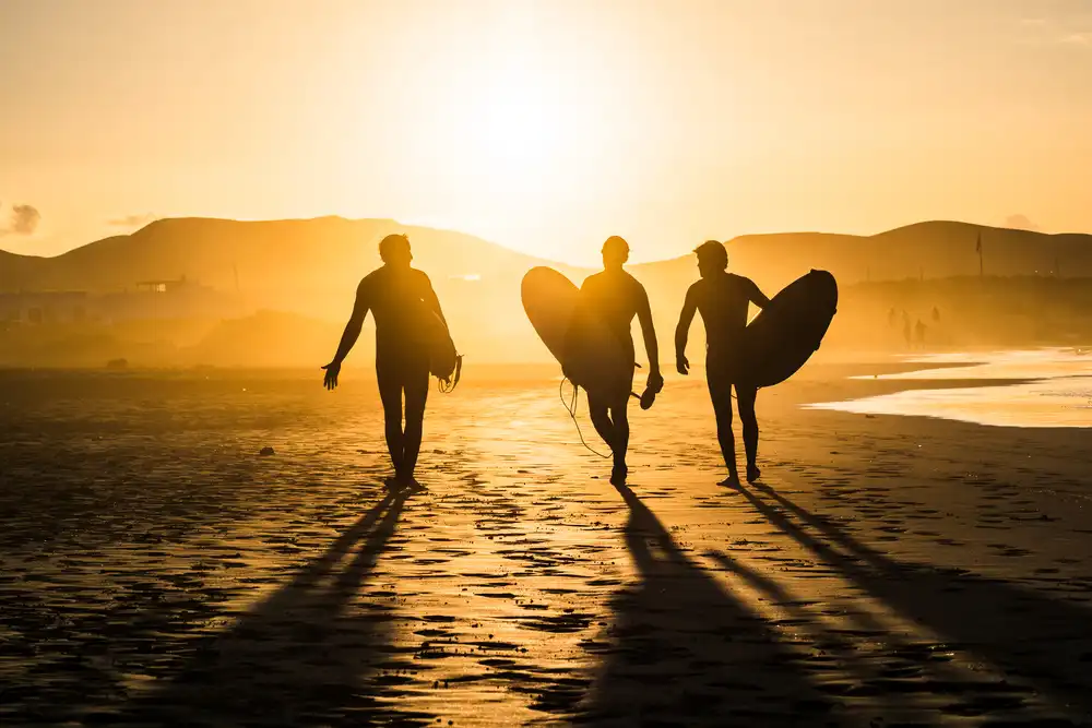 Pavlin, Miha: Surf Trio
