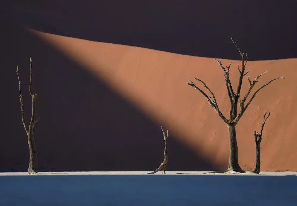 Intarob, Sarawut: Deadvlei