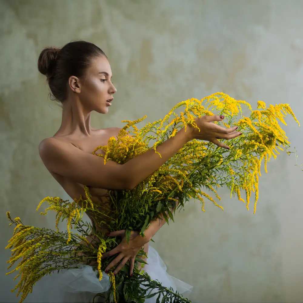 VALEVICIUS, AURIMAS: Solidago virgaurea