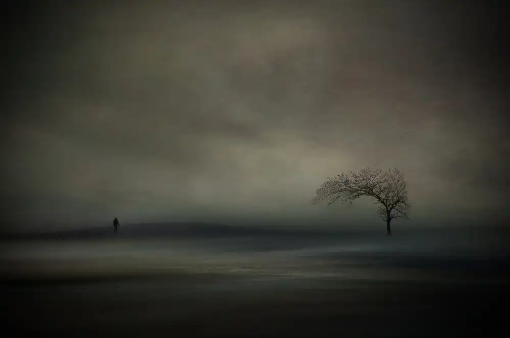 Orkidea, W.: Before the storm
