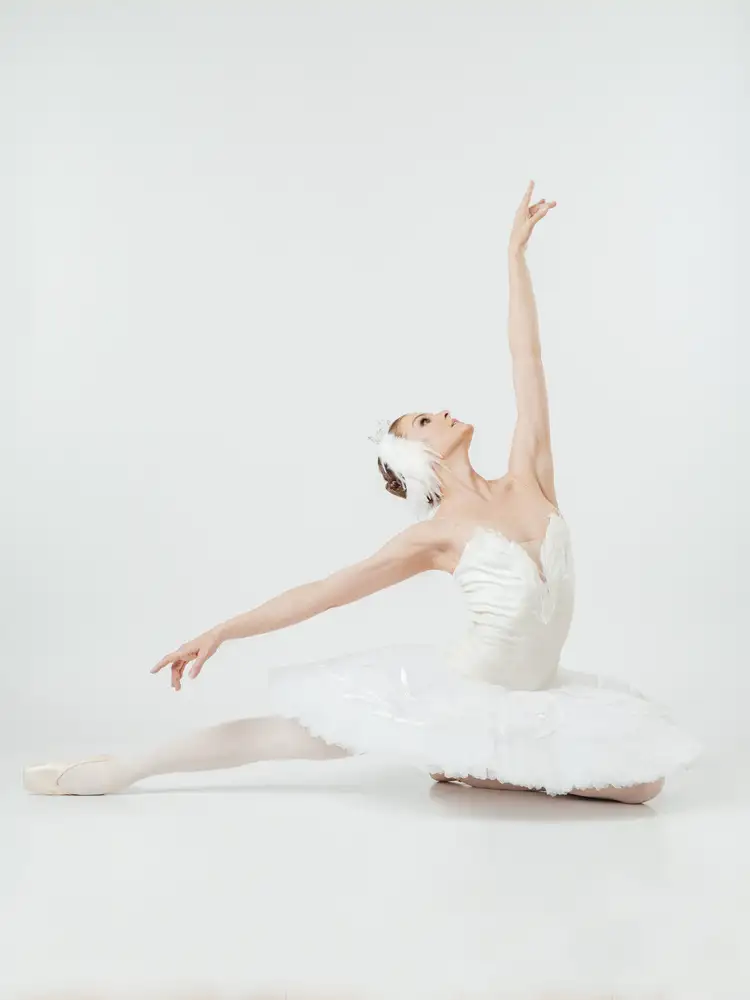 Photographer: Anastasia Lomachenkova