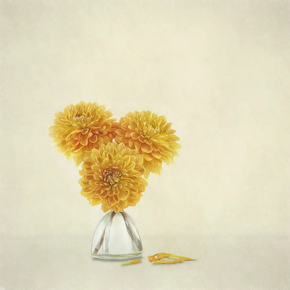 Gray, Gaille: Mirror image