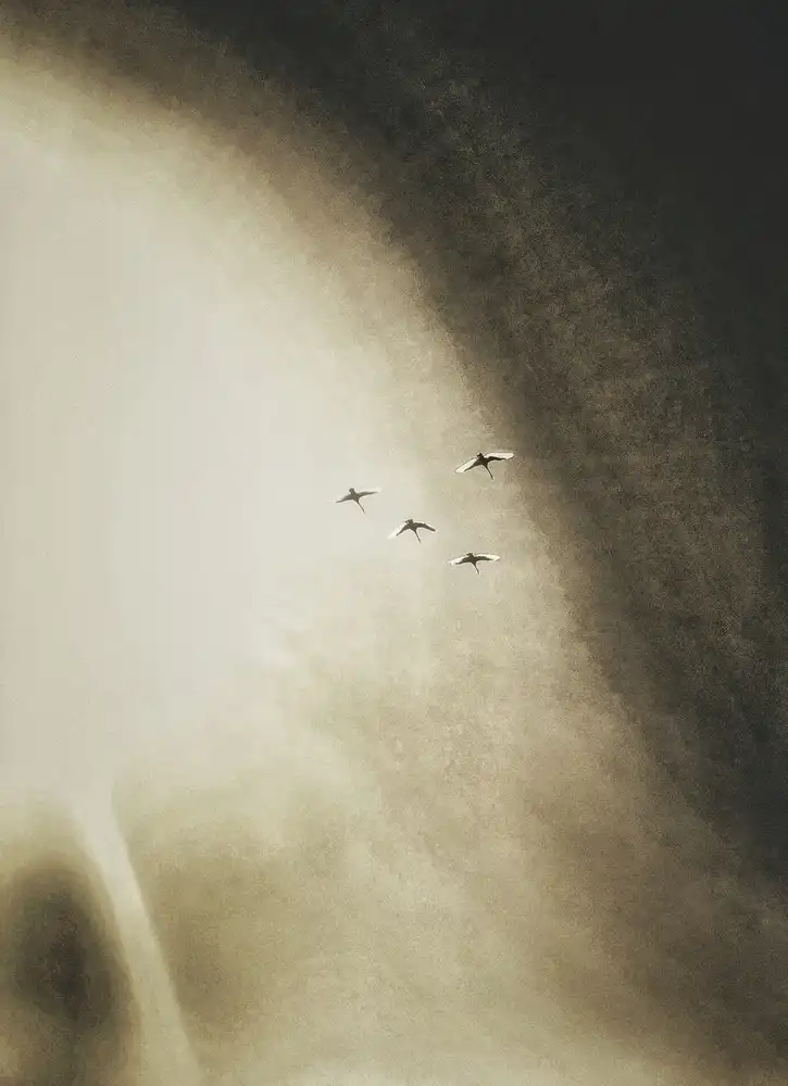 Politov, Artur: return