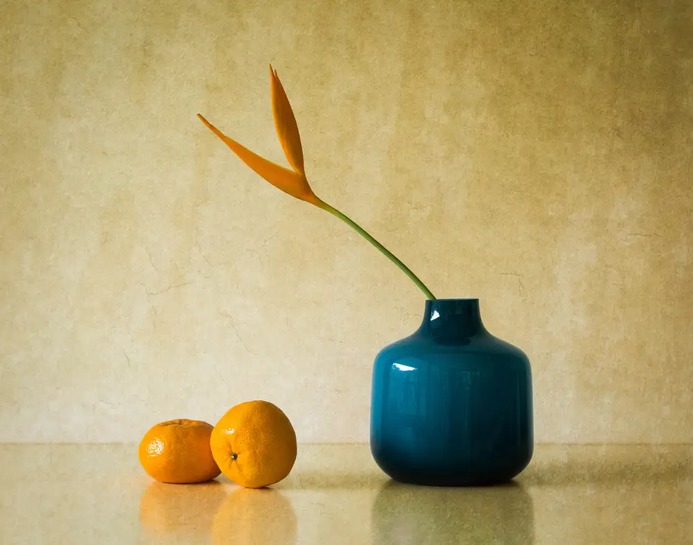 Hammer, Jacqueline: Heliconia e Mandarini