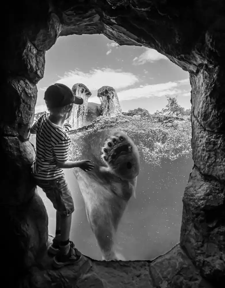Vollrath, Jörg: ...l'orso polare e il ragazzo n.2