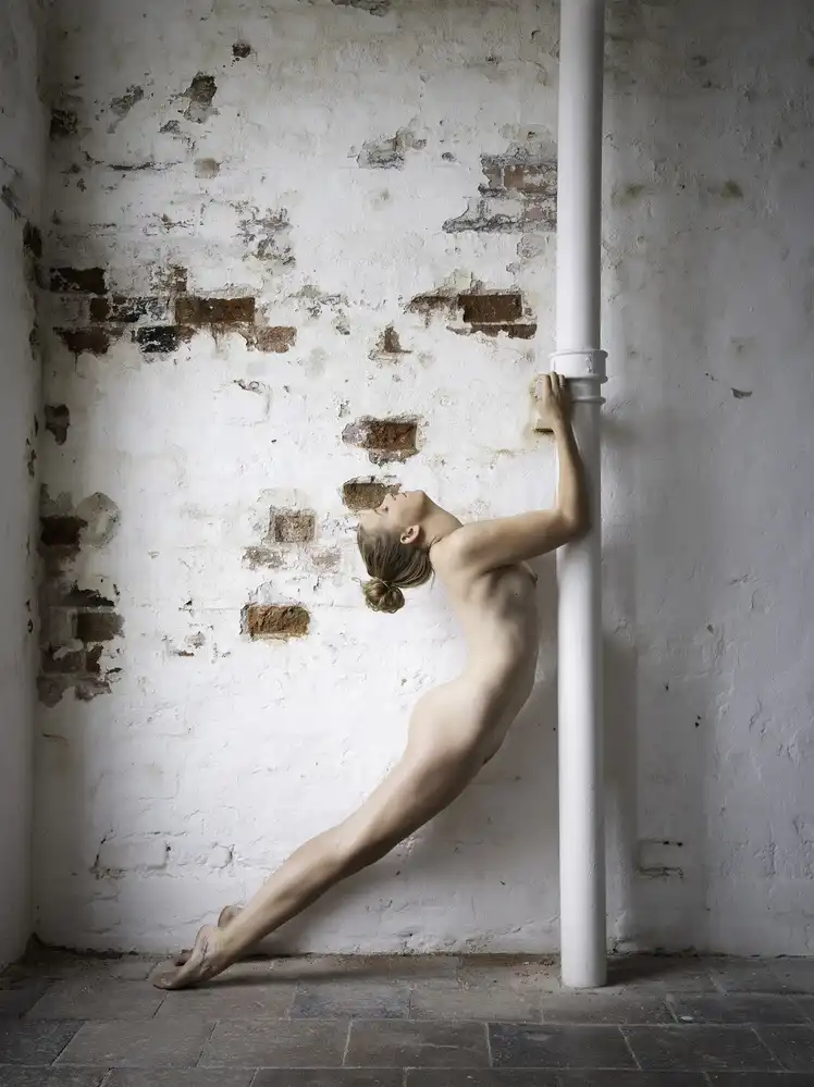 Studio, Catchlight: Il Polo Bianco
