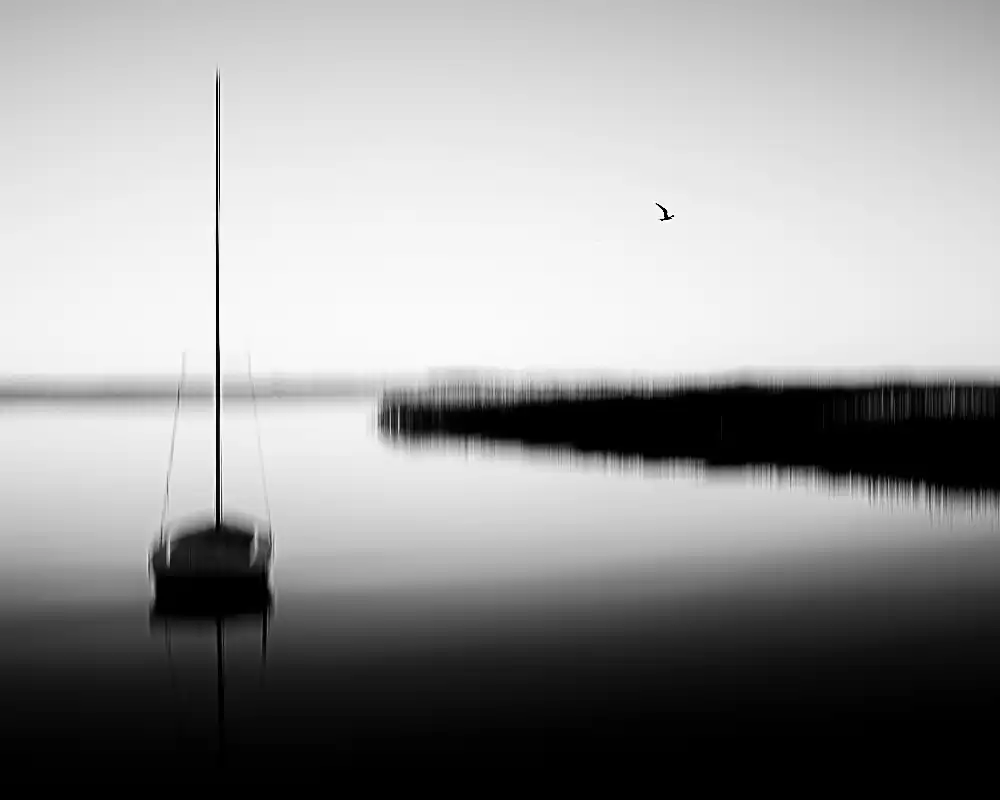 Buder, Stefan: Neeberg - oiseau solitaire