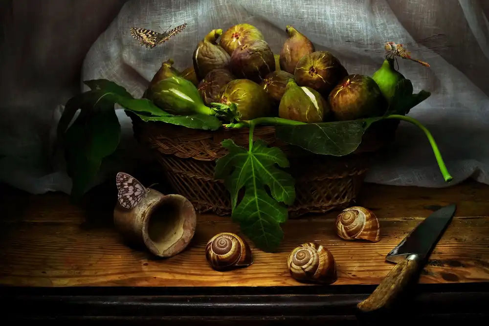 Marcel, Christian: Still Life with Figs