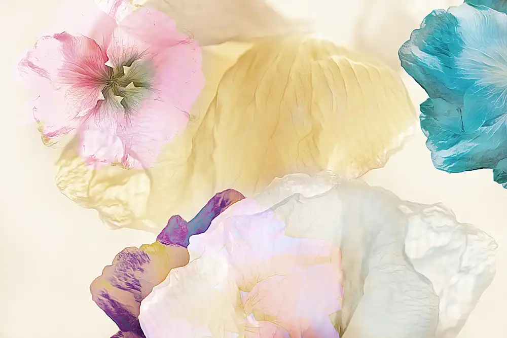 Shumilova, Ludmila: Ethereal flowers
