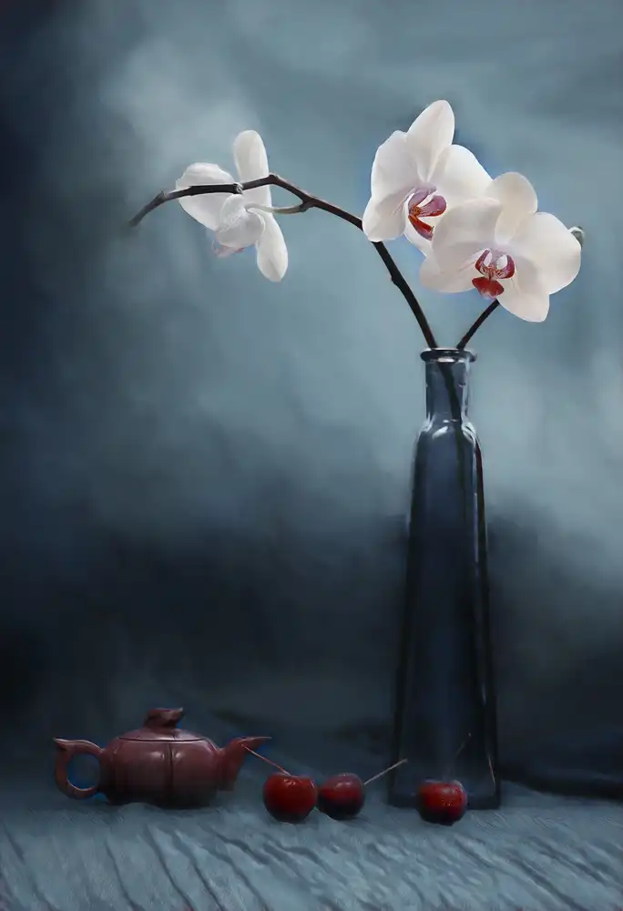 Jacobs, Lydia: Orchidea e Ciliegio