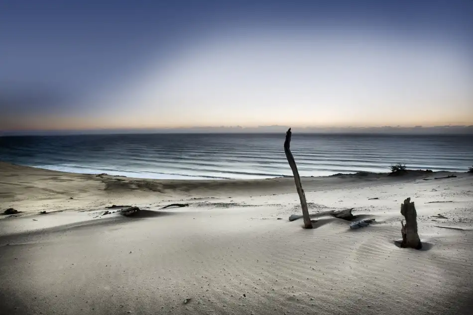 Brackstone, Mel: Reach for the sun