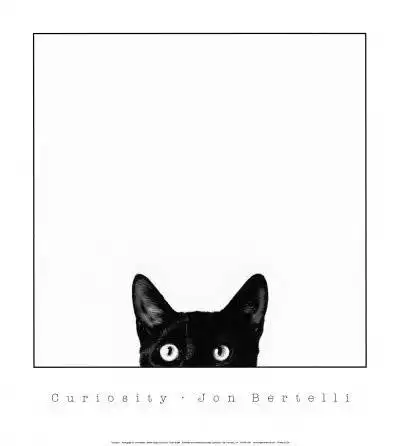 Bertelli, Jon: 