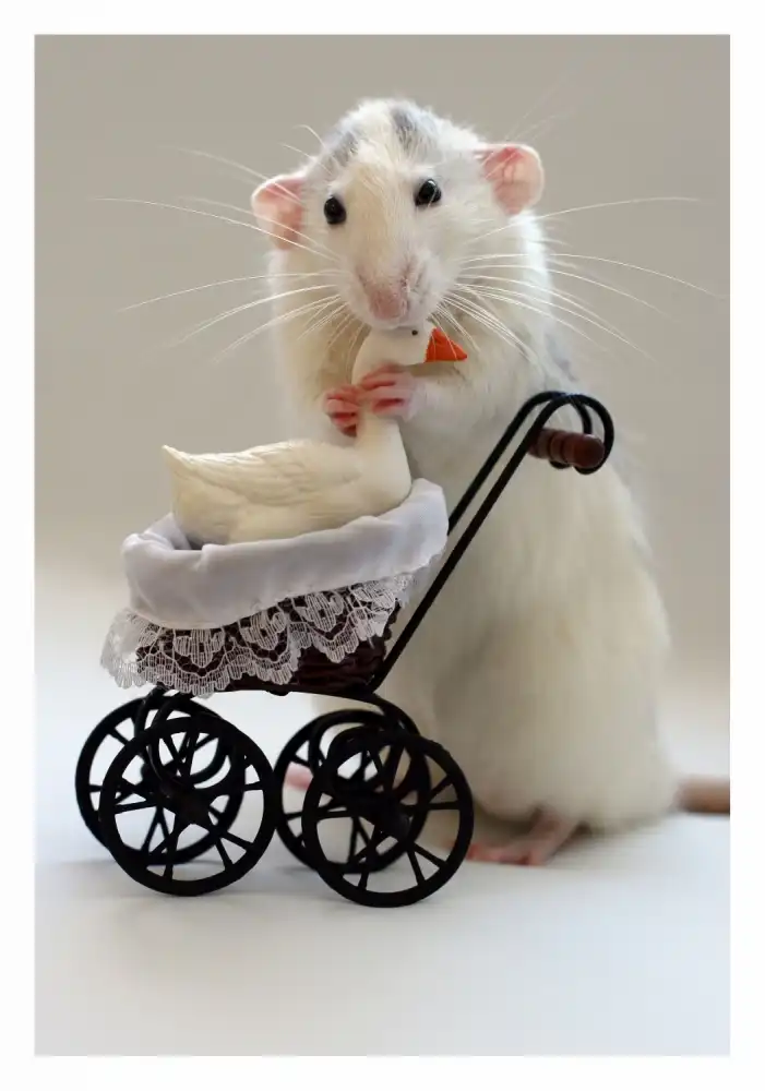 Deelen, van Ellen: The Babysitter