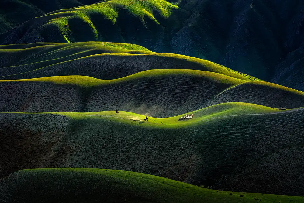 Zhu, Hua: Joan Kushtai Grassland