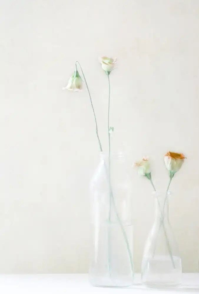 Devos, Delphine: Simplicity and Elegance