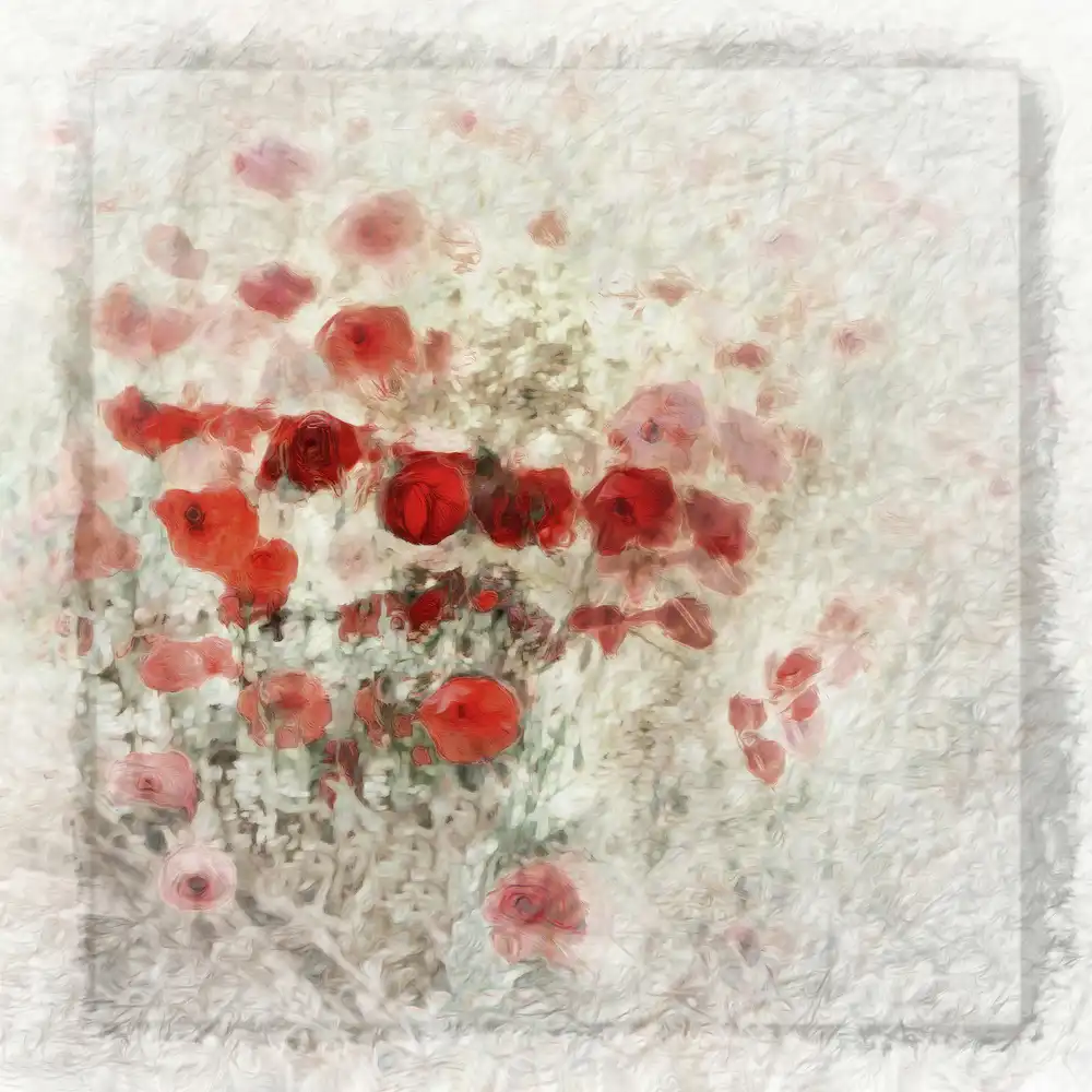 Claes, Gilbert: pouvoir des fleurs