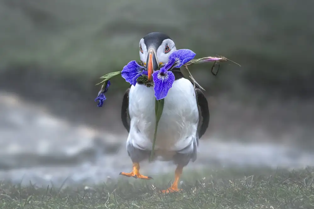 Deng, Larry: Honey, I love you