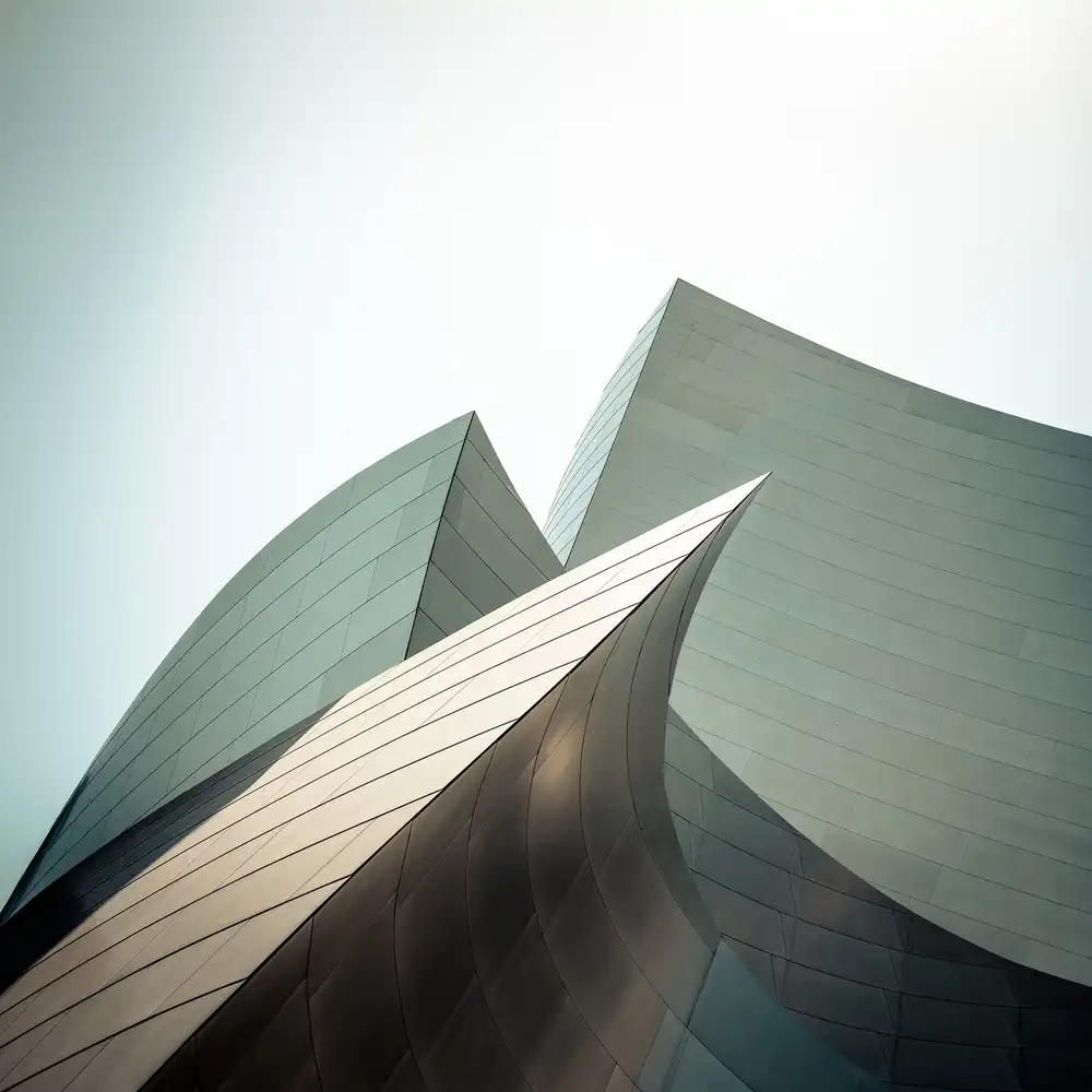 Buder, Stefan: Walt Disney Concert Hall - study I