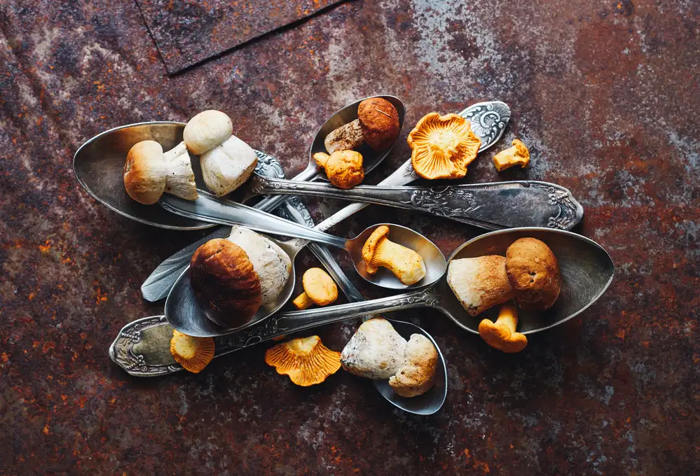 Karina, Aleksandrova: Spoons&Wild mushrooms