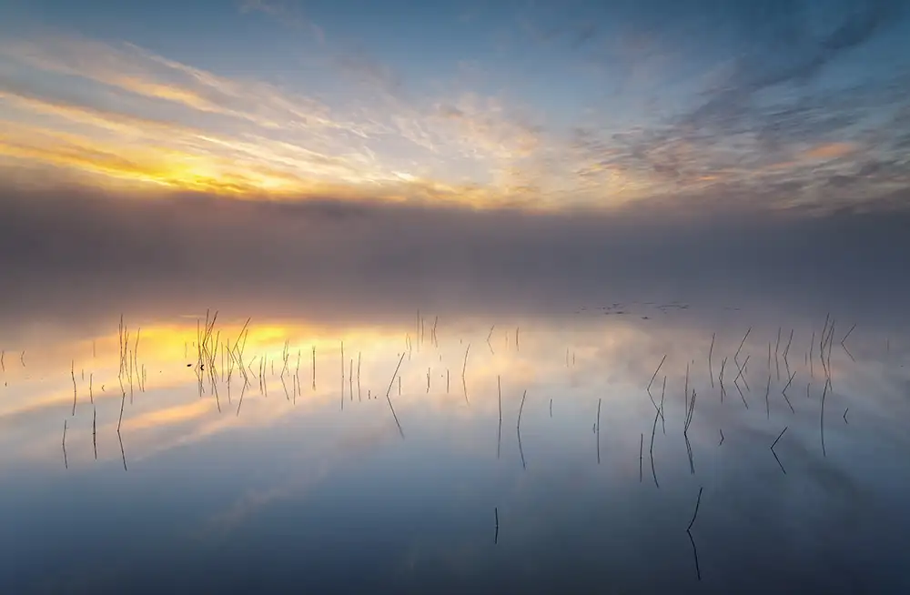 keller: Reeds