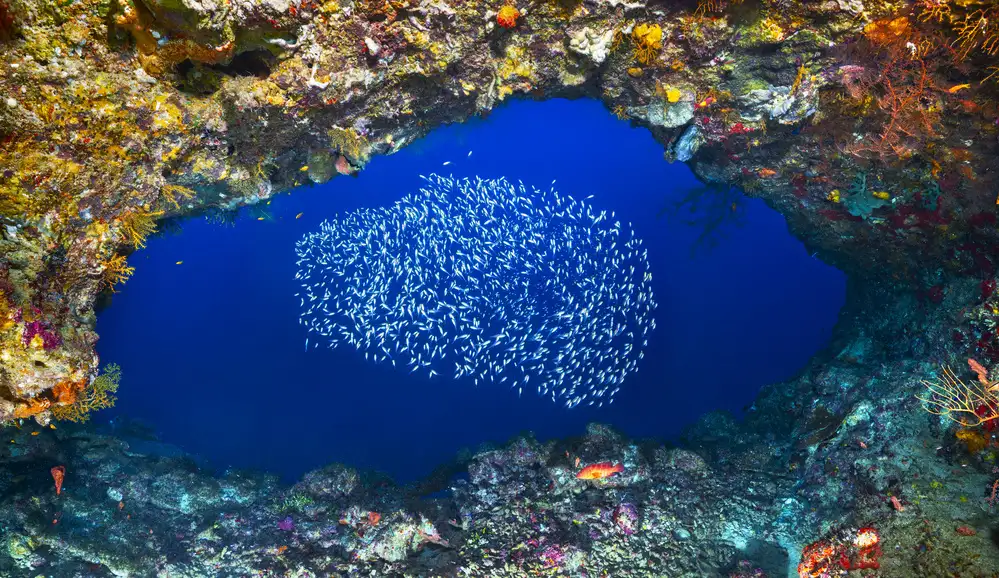 Gabriel, Barathieu: Underwater cave