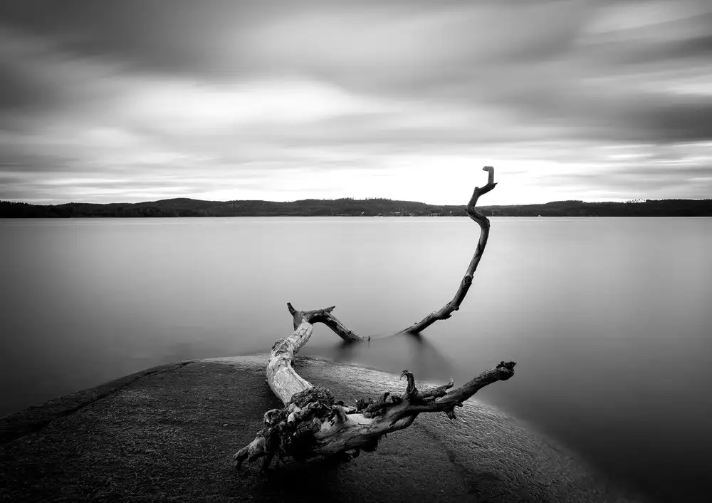 Lindsten, Christian: Branch long exposure lake