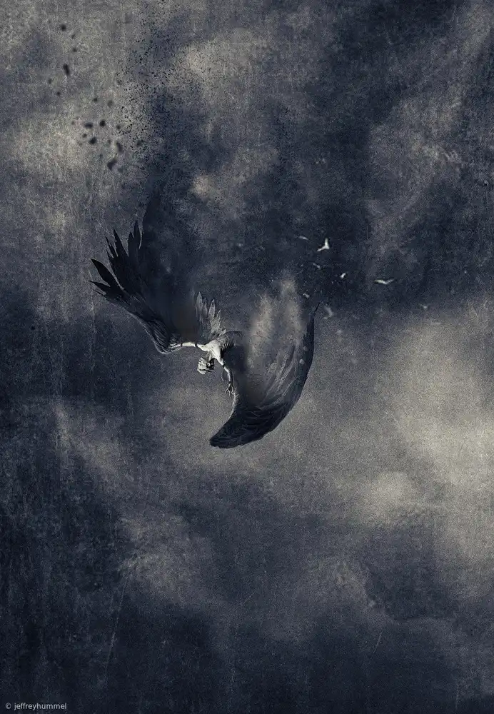 Hummel, Jeffrey: icarus