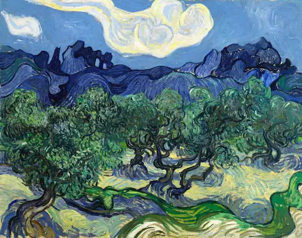 Gogh, Vincent van: Olivenbäume