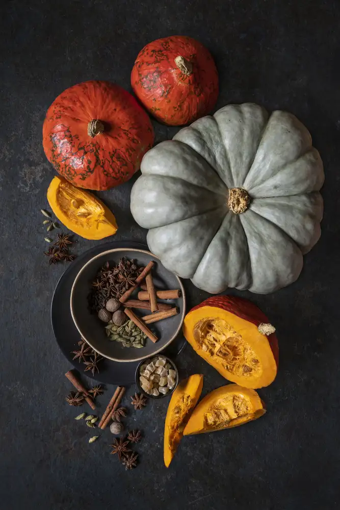 Popescu, Diana: Autumn on the table