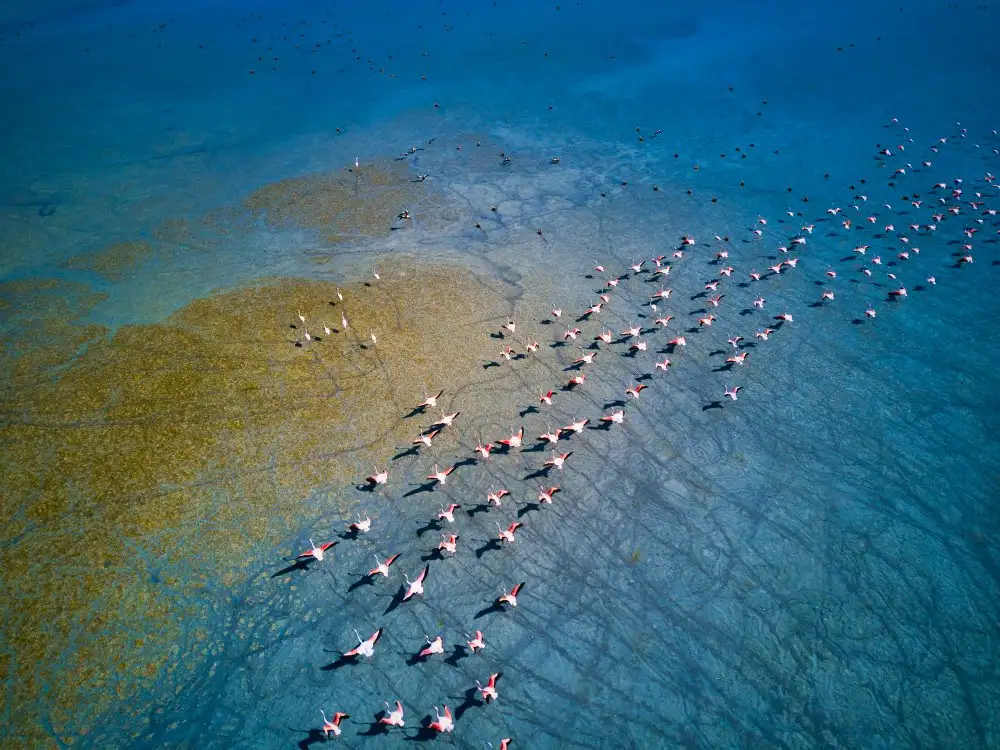 musakeskin: Lago Yarisli