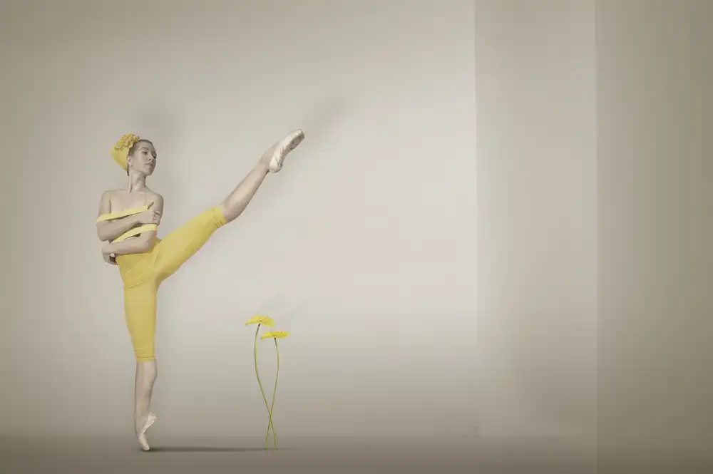 Diepenbroek, von Christine: el color amarillo