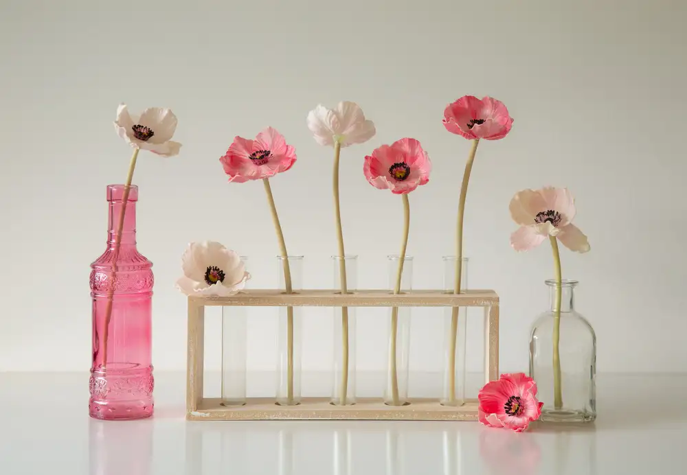 Hammer, Jacqueline: Mohnblumen im Glas