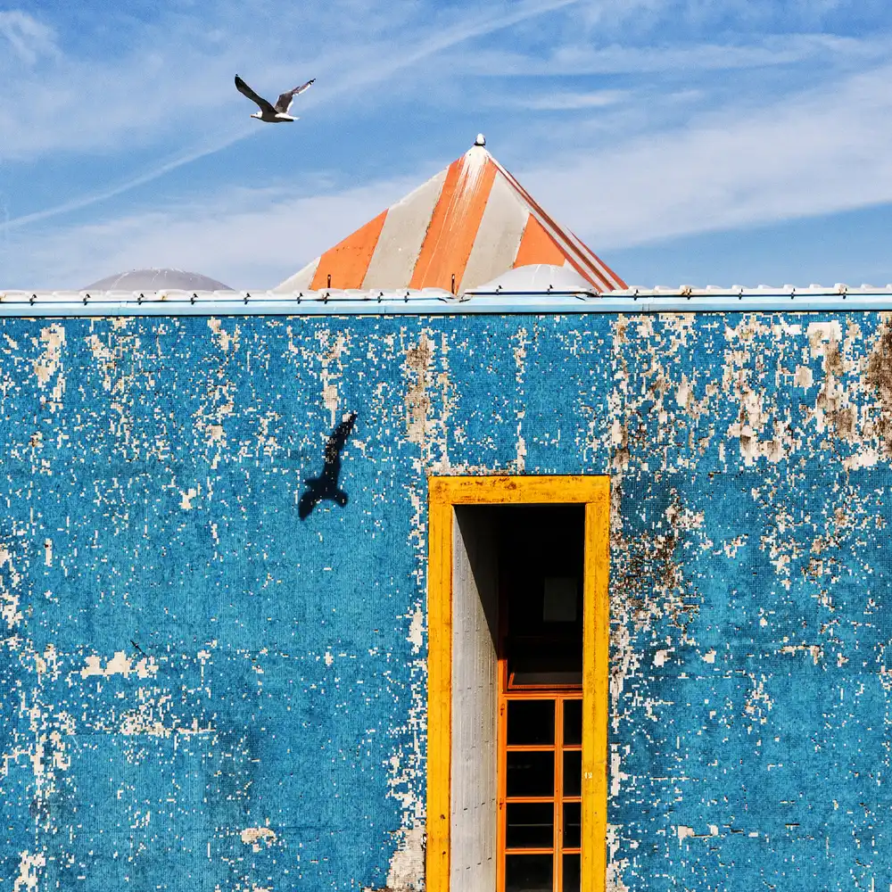 Latta, Della Massimo: The Seagull