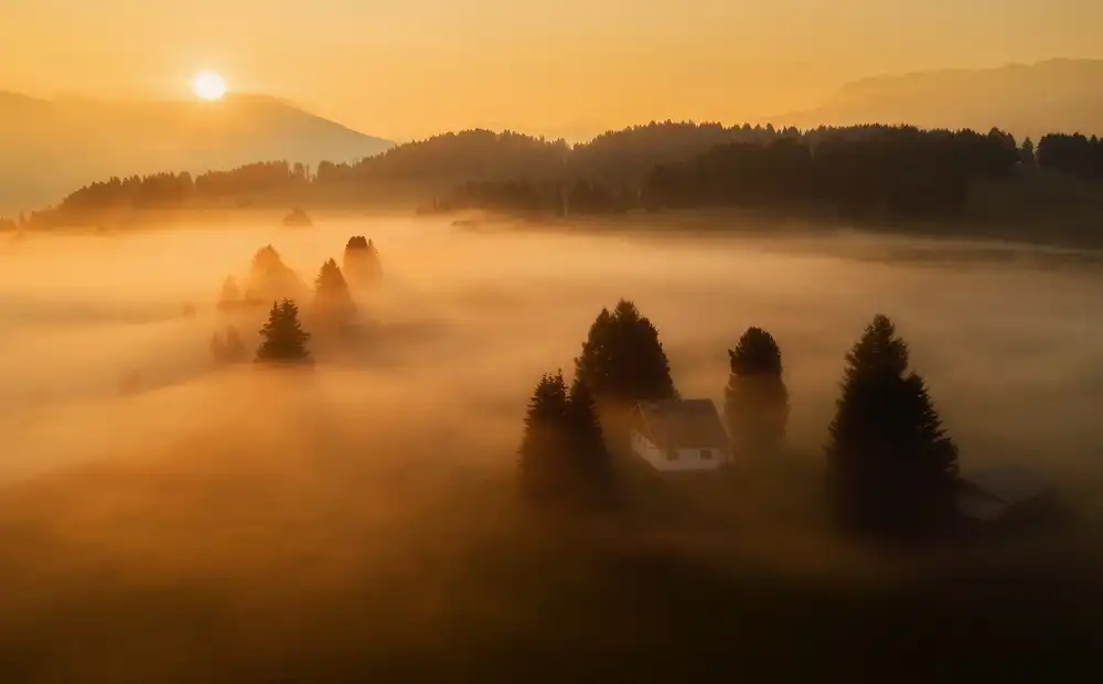 Krivec, Ales: Morning mist