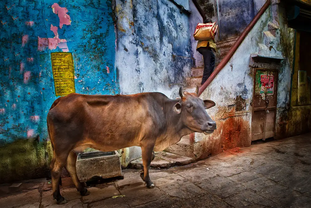 Cavalli, Giovanni: Varanasi Alley, 2019