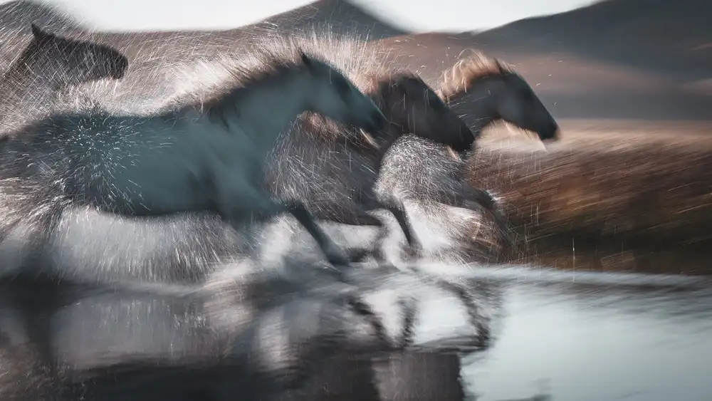 Z, Bingo: Splashing