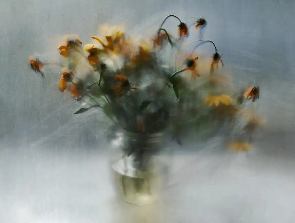 Pneuma, Ala: fading bouquet