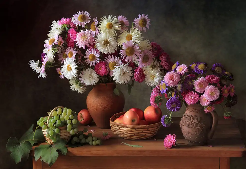 Skorokhod, Tatyana: Natura morta con astri e uva