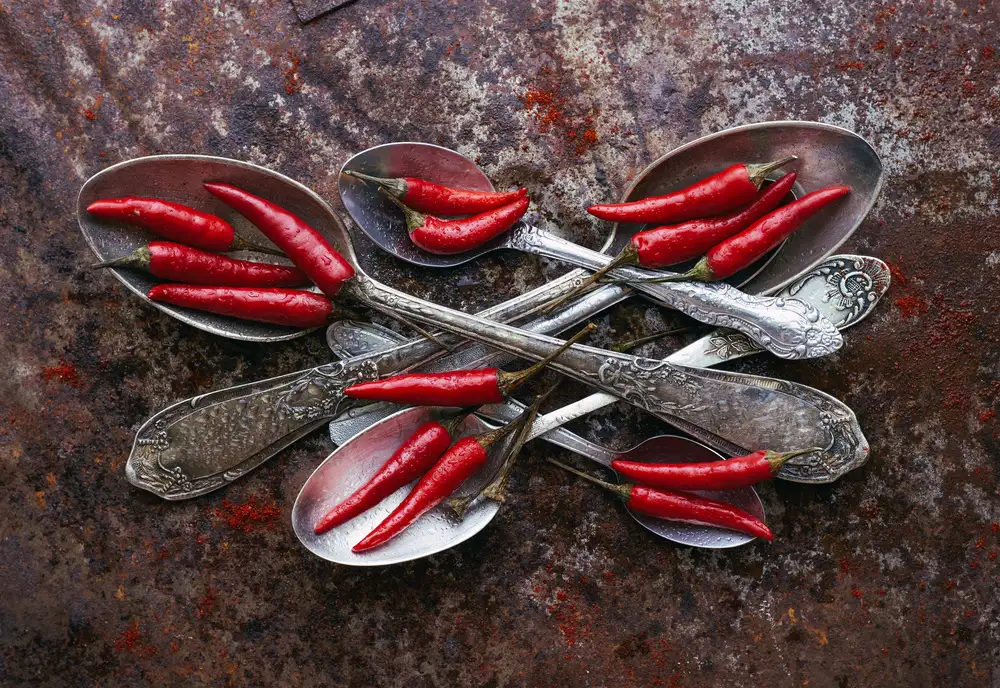 Karina, Aleksandrova: Spoons&Spicy